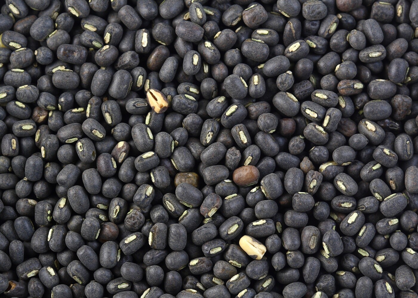 Saboot Urid/ Gota (with husk) black - 1kg